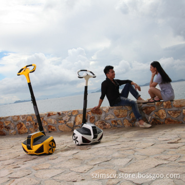 Self-Balancing Electric Vehicle